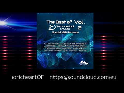 In The Moonlight - Eurydice (Euphoric Heart Remix) - PREVIEW