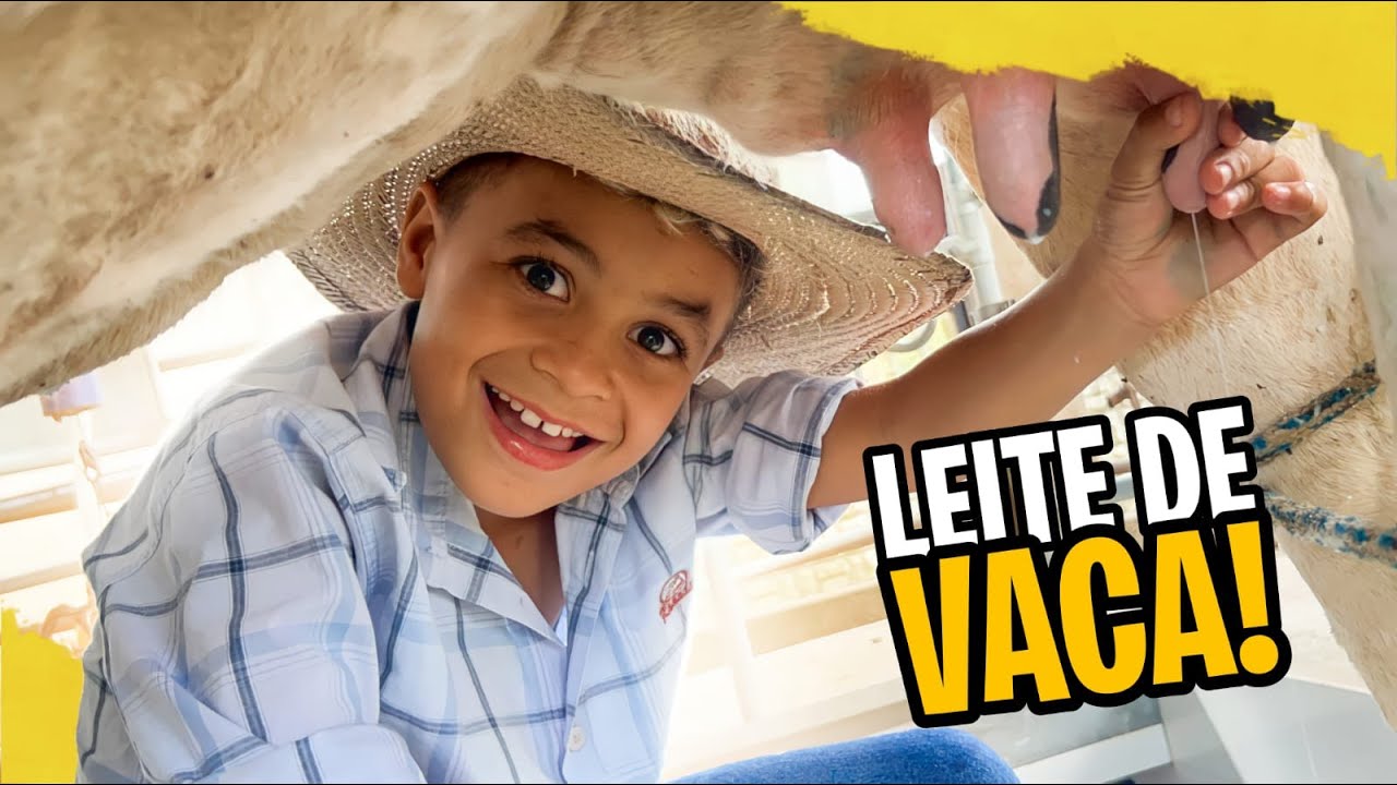APRENDENDO A TIRAR LEITE DA VACA!!