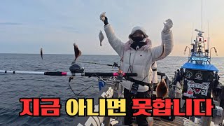 많이 달려 있을까봐 겁나는 낚시는 처음ㅣ선탑에서 무릎을 꿇은 이유 ㅣ정자매 내기 결말ㅣ어구가자미 낚시ㅣ대진항 승리호 🛥️