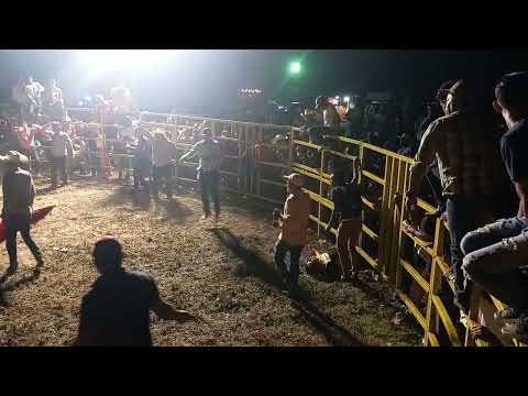 El Pirata 🐂...Cayó privado el jinete....Corriente 2023