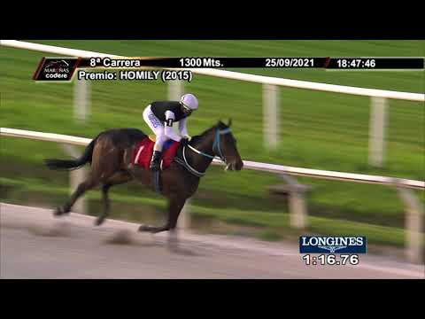 210925 c08 MR. BUCANERO