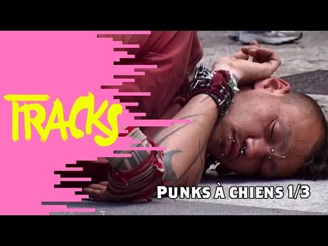 Punks à Chiens (1/3) 2007 - Tracks ARTE