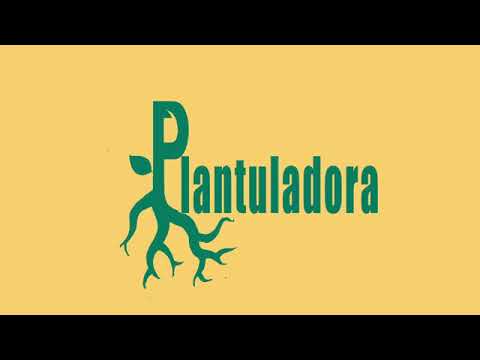 , title : 'Proyecto Plantuladora - Asociación Anfibias'