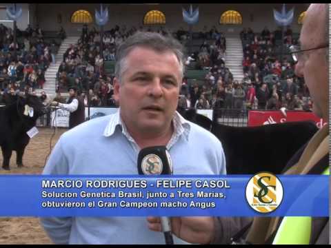 Tres Marias - Marcio Rodrigues y Felipe Casol - Brasileros titulares del Gran Campeon Macho Angus