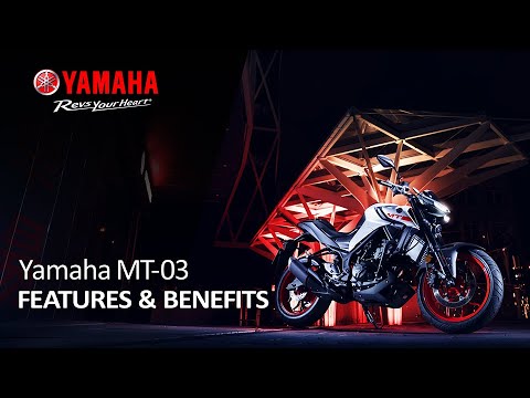 2021 Yamaha MT-03 in Auburn, Massachusetts - Video 2
