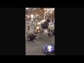 Teen bodybuilder deadlift