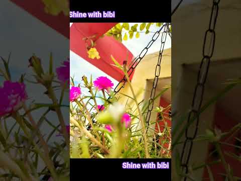 #nature #plants #fashion #flowers #english #viral #music #tamil #jawan #movie #ytshorts #shorts #bb