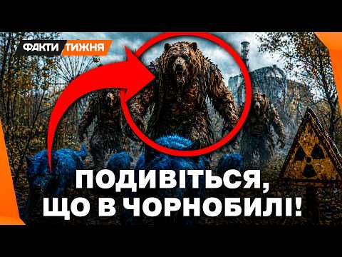 ЧОРНОБИЛЬ 2026: нова загроза, СТРАШНІША за радіацію! Чому ЗОНА знову СТАЛА НЕБЕЗПЕЧНОЮ?