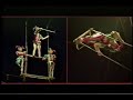 Flying Trapeze The Jokers By Kirill Vorona USA 1999