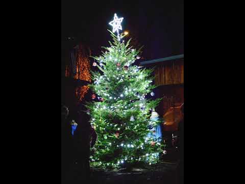 Dolany - Advent music 2025