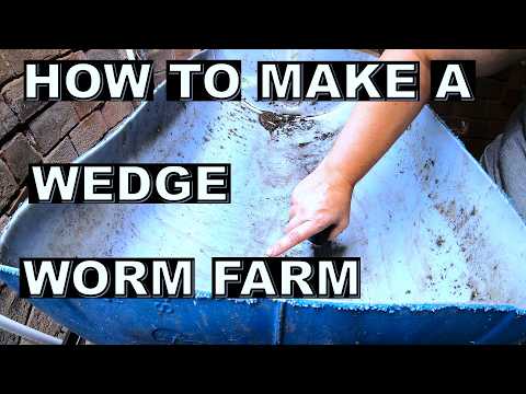 How to Start a New Wedge Style Worm Bin- European Night Crawlers