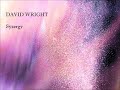'Syzergy' by David Wright