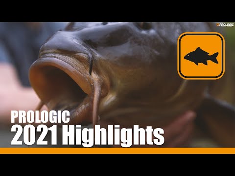 Carp Fishing 2021 Highlights