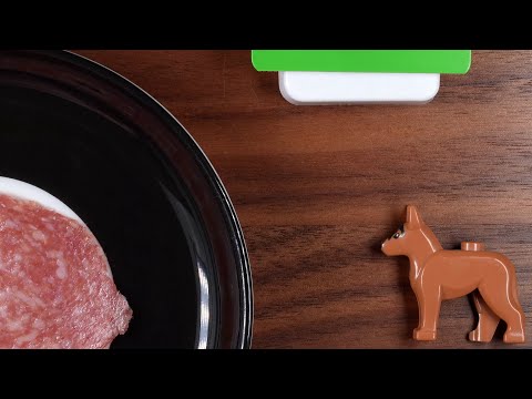 Pawlow und sein Hund: Lernen und Verlernen eines Reflexes