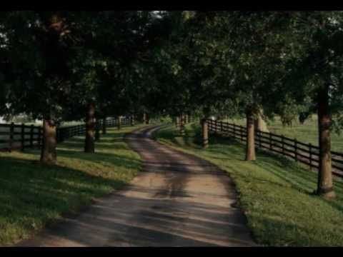 Beto Pereira - The Meaning of Life