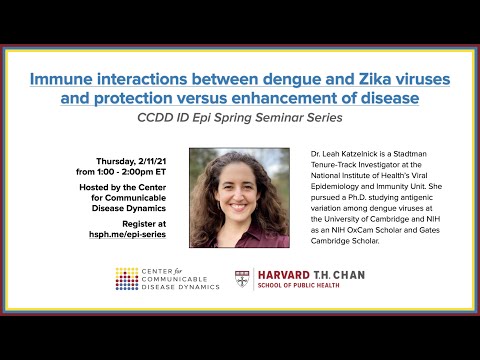 Immune Interactions Between Dengue and Zika Viruses (CCDD ID Epi Seminar Series)