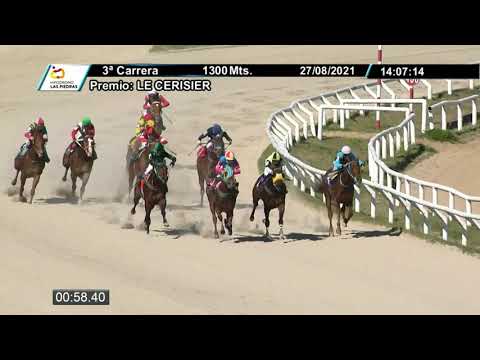 210827 c03 - HADDOCK (BRZ) - HIPODROMO LAS PIEDRAS