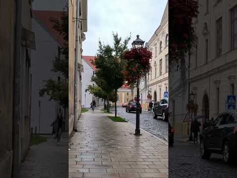 Trnava's Living History: Step by Step