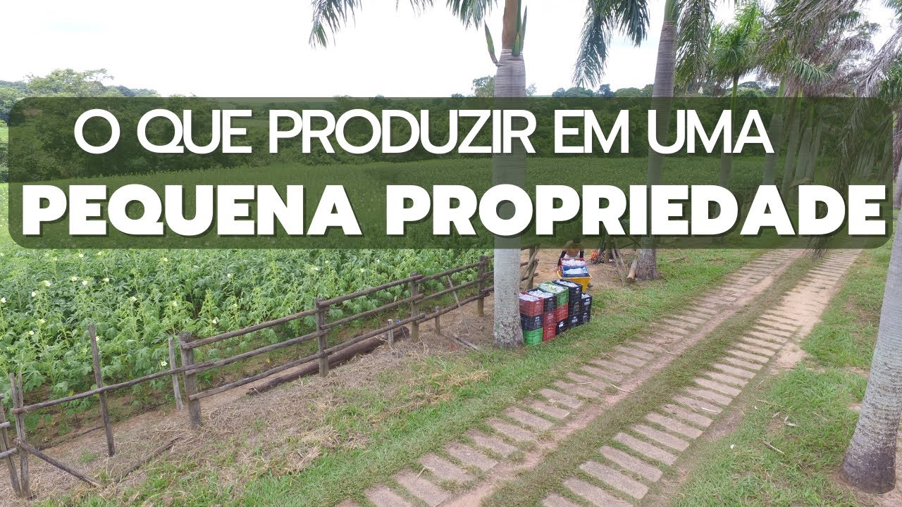 O que produzir em uma pequena propriedade rural?