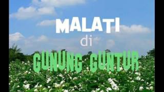 Download lagu Malati di gunung guntur mp3 Download lagu Malati di gunung guntur mp3