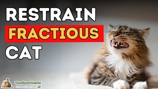 How To Restrain a Fractious Cat and Trim Cat Nails