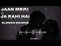 Jaan Meri Ja Rahi Hai Saman Slowed Reverb Song Lucky Salman Khan Udit Narayan Anuradha P