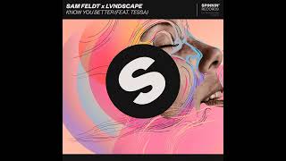 Sam Feldt, LVNDSCAPE - Know You Better (feat. Tessa Odden)
