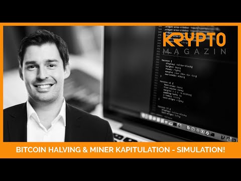 BITCOIN HALVING & MINER KAPITULATION - SIMULATION!