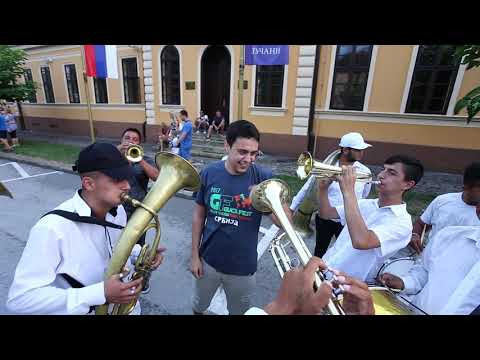 Guča trumpet festival 2017