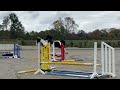 Magnifique jument de 6 ans +- 1m68