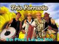 Em Plena Lua De Mel - Trio Forrozão 
