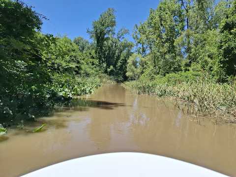 TIGRE - canal Wairaka