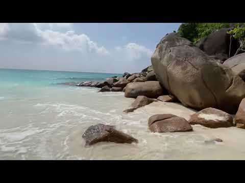 #Seychelles #Praslin Anse Georgette beach 🏖 | low tide | walking on the beach 🏝.