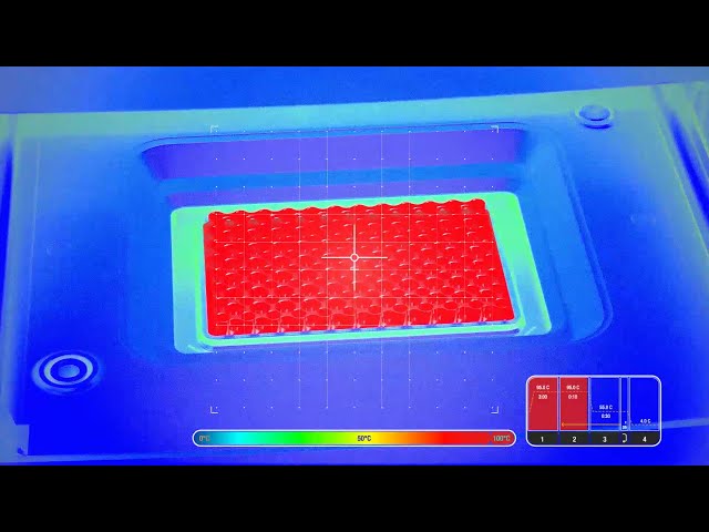 Alles für Ihre Echtzeit-PCR-Experimente – von der Probenvorbereitung bis zur Datenanalyse