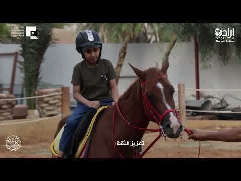 فرسان الإرادة