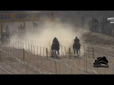 1º Pareo GP Haras Novo Lar - HGP 2019