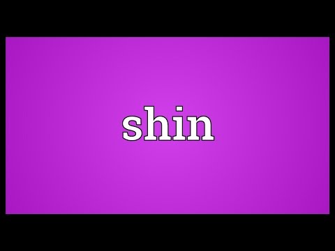 Shin Meaning