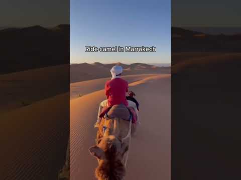 4 best things to do in Morocco🇲🇦