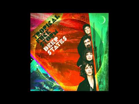 Tropical Fuck Storm - The Confinement Of The Quarks (Official Audio)