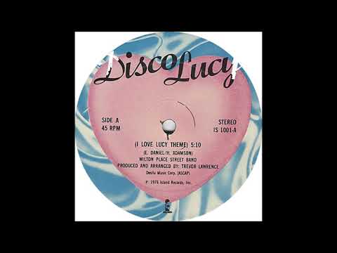 Disco Lucy  -  Wilton Place Street Band