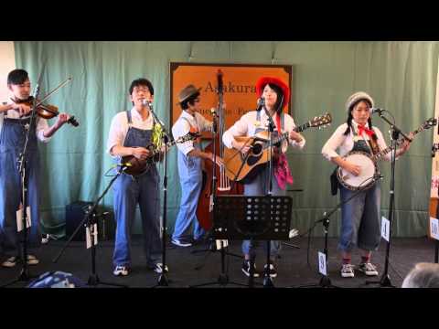 My Old Kentucky Home (uni'On top)