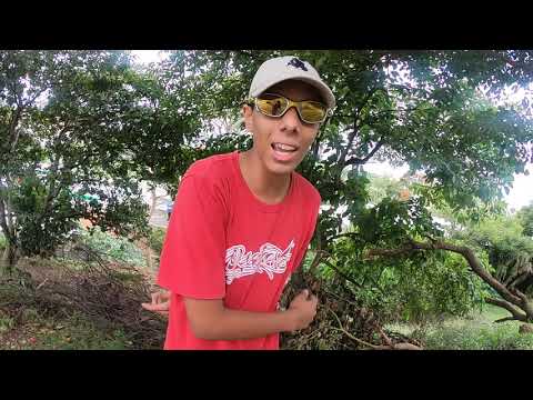 MC Rafinha ZK - Revelação 2019