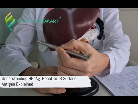Understanding HBsAg: Hepatitis B Surface Antigen Explained