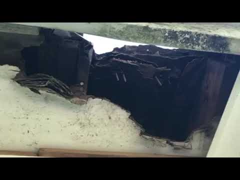 Raccoons Ruin Soffit in Toms River, NJ