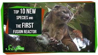 Top 10 New Species and the First Fusion Reactor