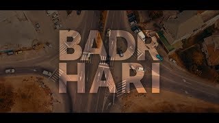 Ice - Badr Hari