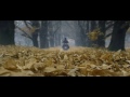 Wealth Of A Rider Ride Don T Hide Bajaj Avenger