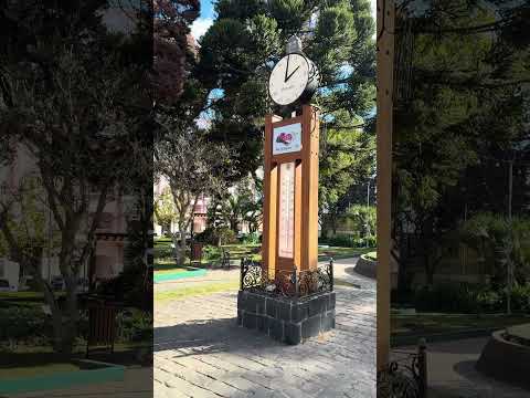 🍎 Terra da maçã e do frio: descubra São Joaquim! #santacatarina #maça #frio