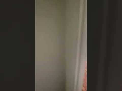 2007 Sulgrave Ave - Video 2 of 2