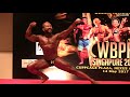 WBPF Singapore 2017 (Men's Bodybuilding 70kg) - Muhd Harith Dinie